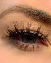 Zara - Dramatic, Fluffy, Wispy Lashes